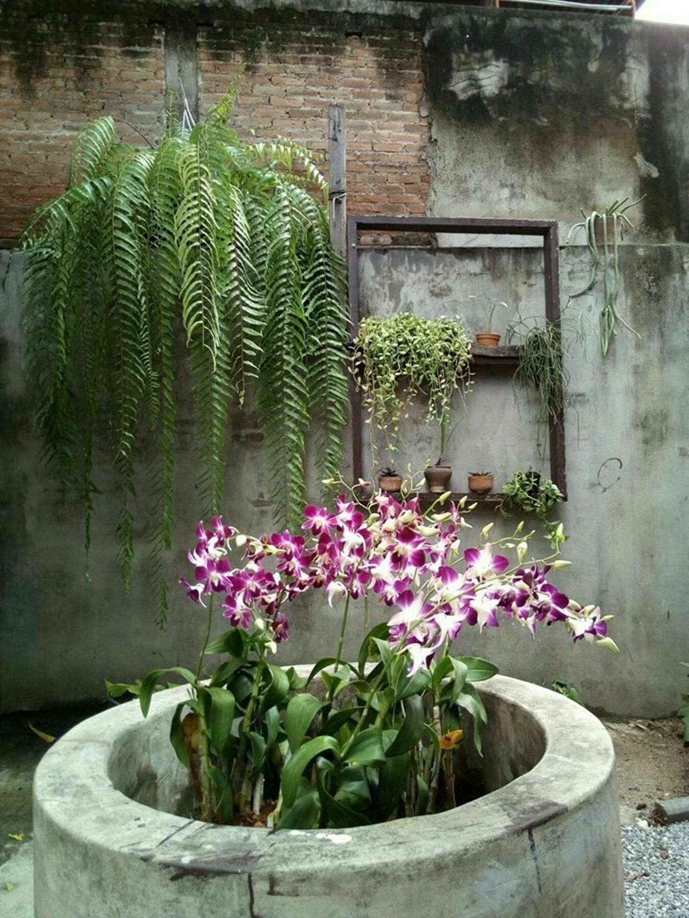 A Pousada Twin House @ Tapae Chiang Mai Exterior foto